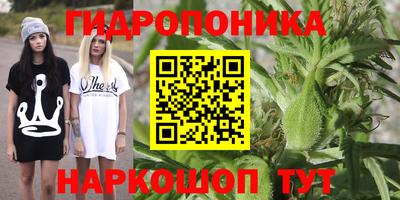 МДПВ Обь