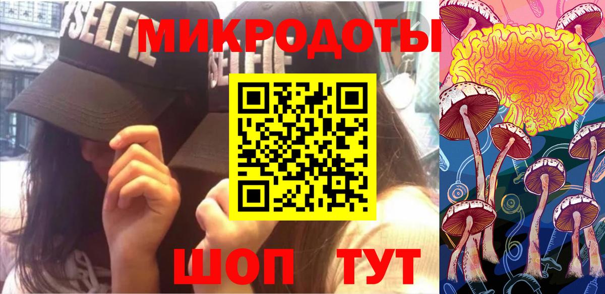Галлюциногенные грибы Cubensis Алейск