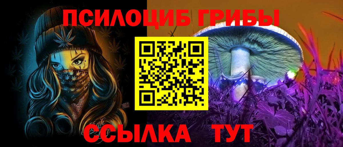 как найти   Псилоцибиновые грибы Cubensis  Алейск  Вход с VPN  Псилоцибиновые грибы MAGIC MUSHROOMS 